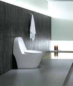 羅芬衛(wèi)浴R8385坐便器價(jià)格、圖片及參數(shù)詳解