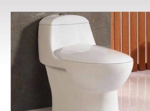 十年衛(wèi)浴銷(xiāo)售專(zhuān)家揭秘 選對(duì)馬桶，潔凈廁所長(zhǎng)久無(wú)憂